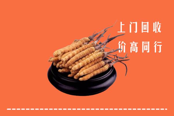 高价求购：运城回收散虫草