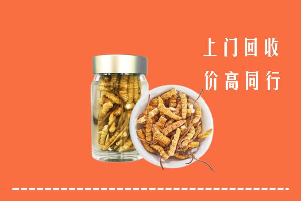 运城回收冬虫夏草